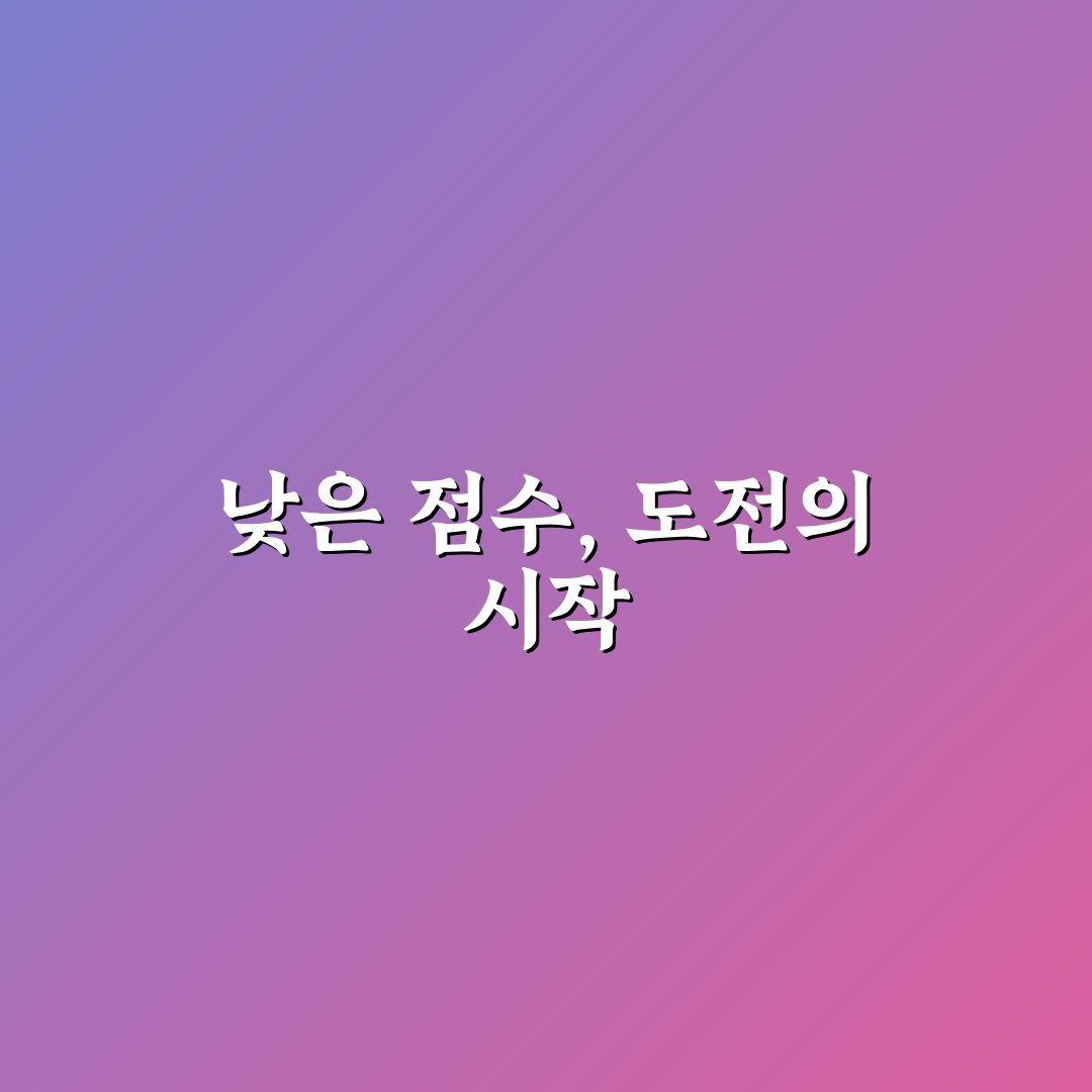 주택 청약 가점 낮은 사람 당첨 전략 직접 써본 후기