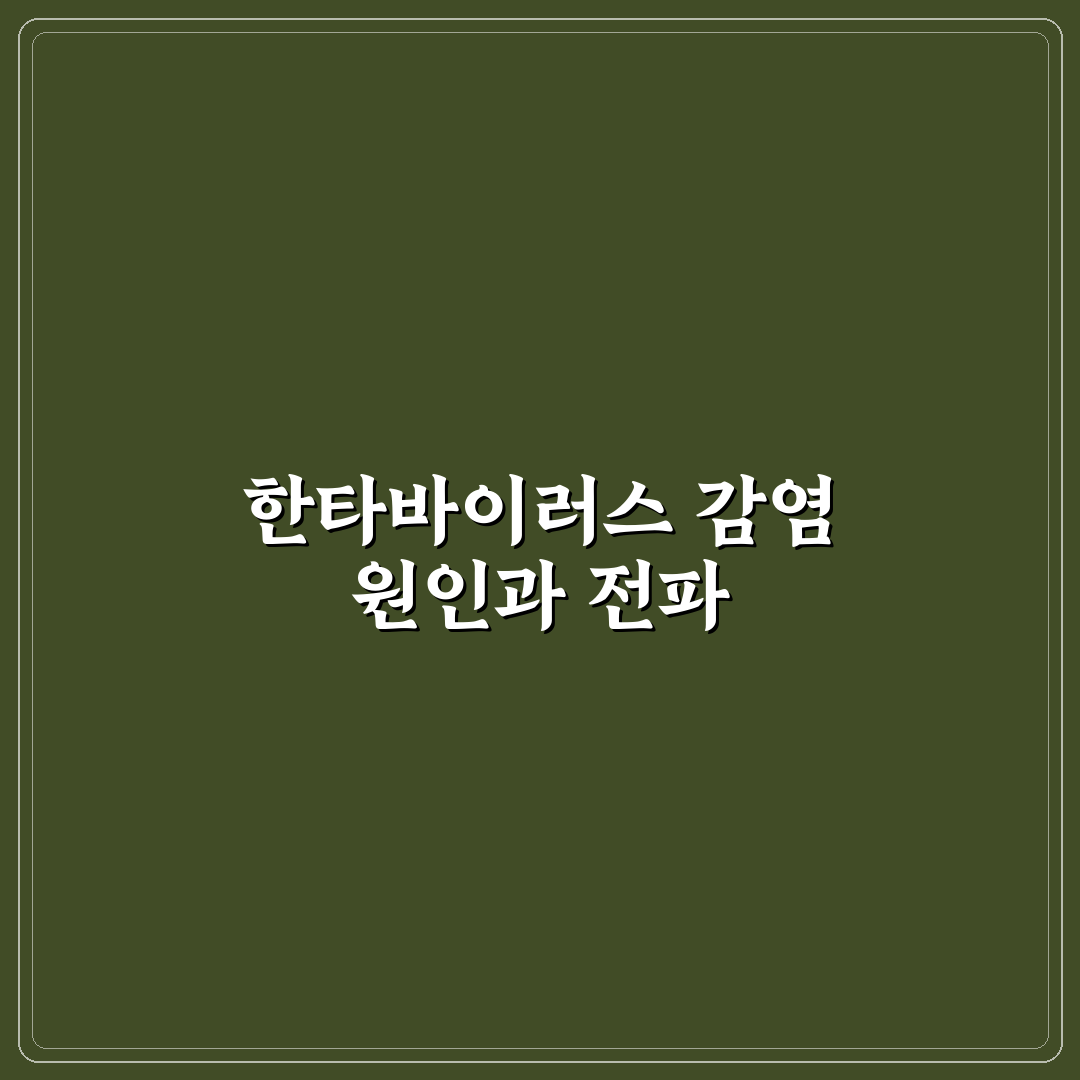 한타바이러스 원인과 감염 경로 쉽게 정리해드려요