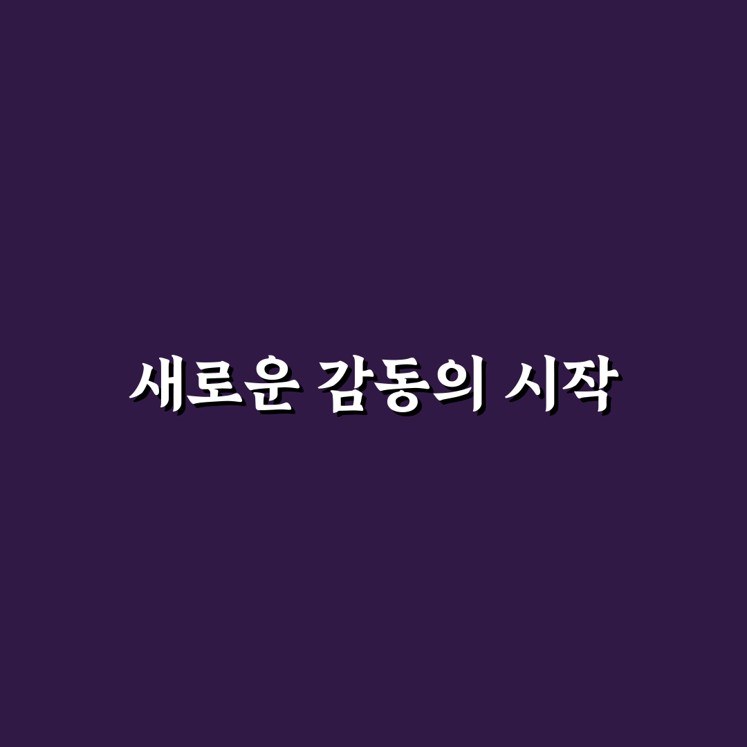 라포슈 사용 후기, 직접 써보니 좋았던 점과 아쉬운 점