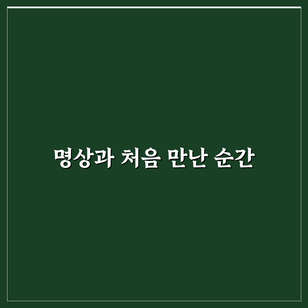 캄 인사이트타이머 명상 어플 직접 써본 후기와 사용감 평가