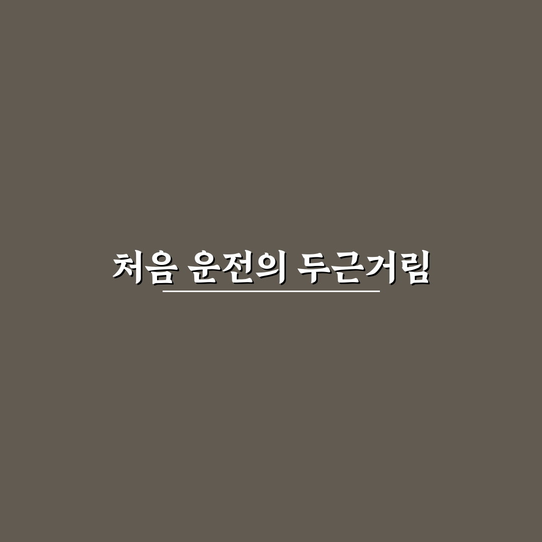 아이오닉 6 실전 전비 주행 팁 직접 써본 후기 포함