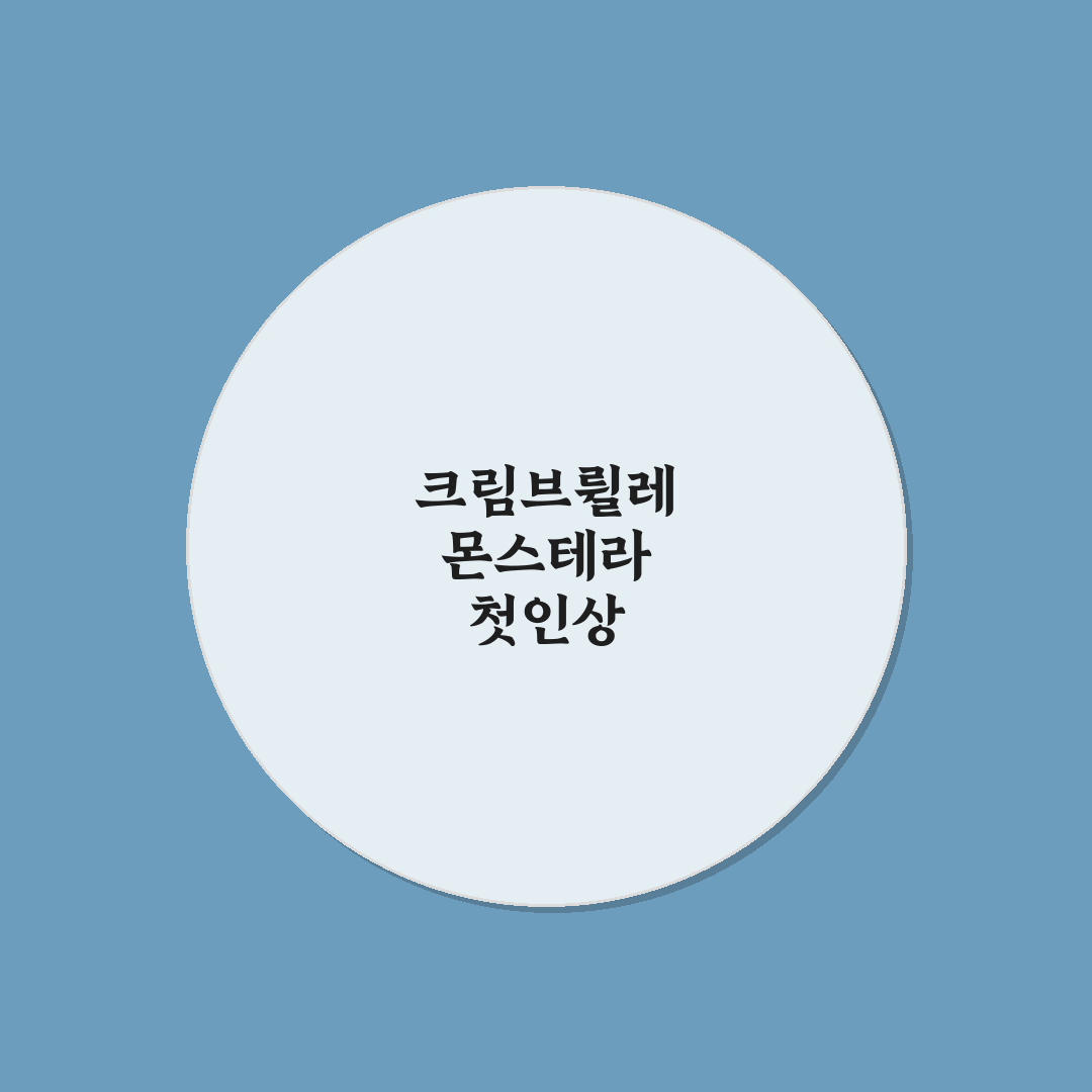 크림브륄레 몬스테라 사용 후기, 직접 써보니 맛과 식감은?