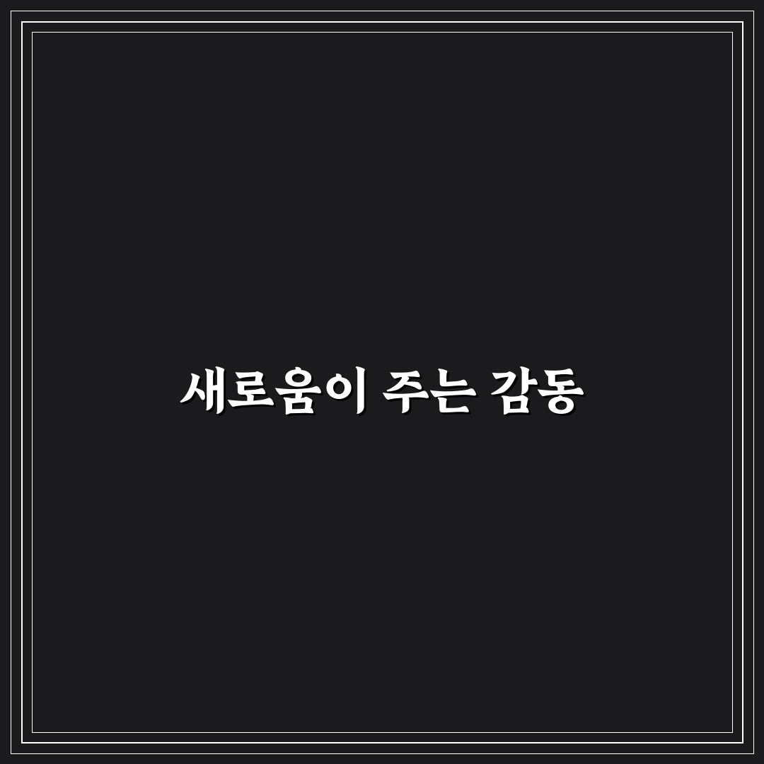 은민 디자인 사용 후기, 직접 써보니 아쉬웠던 점들