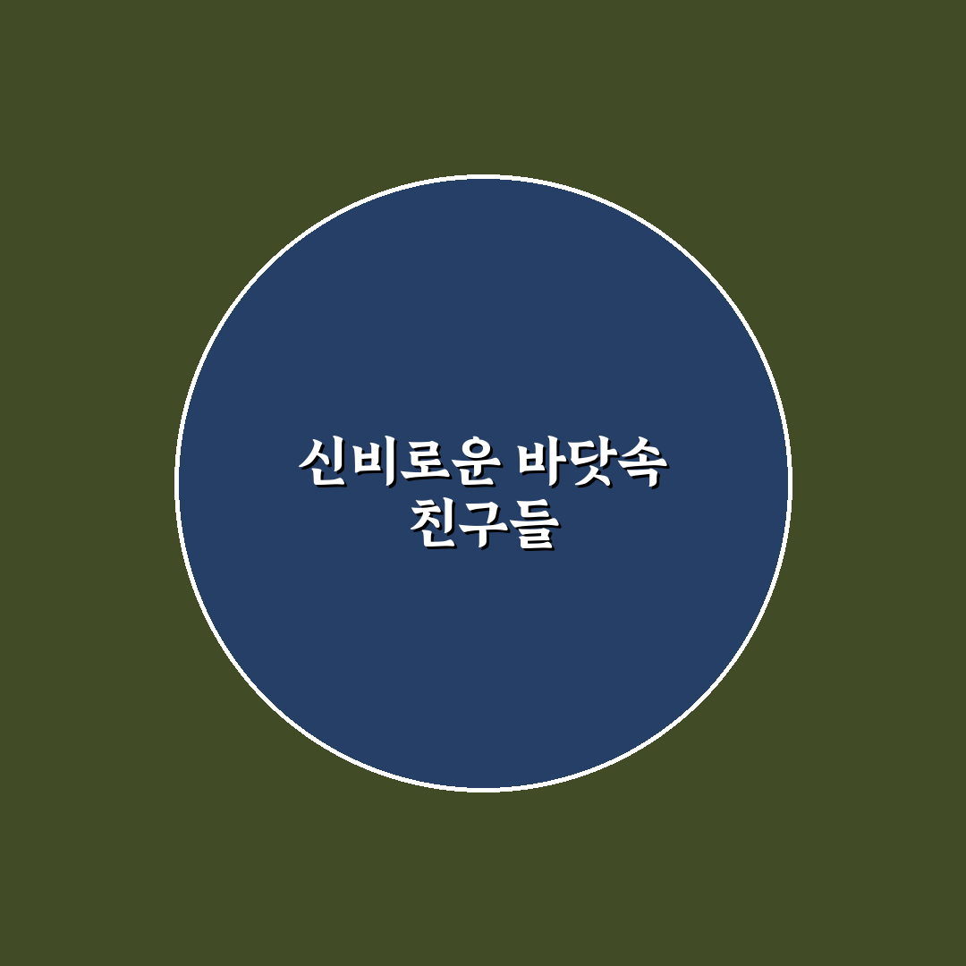 터미타임 문어 사용 후기, 직접 써보니 알게 된 점