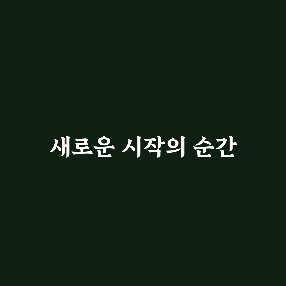 대단한 참외씨 사용 후기, 직접 써보니 어땠는지
