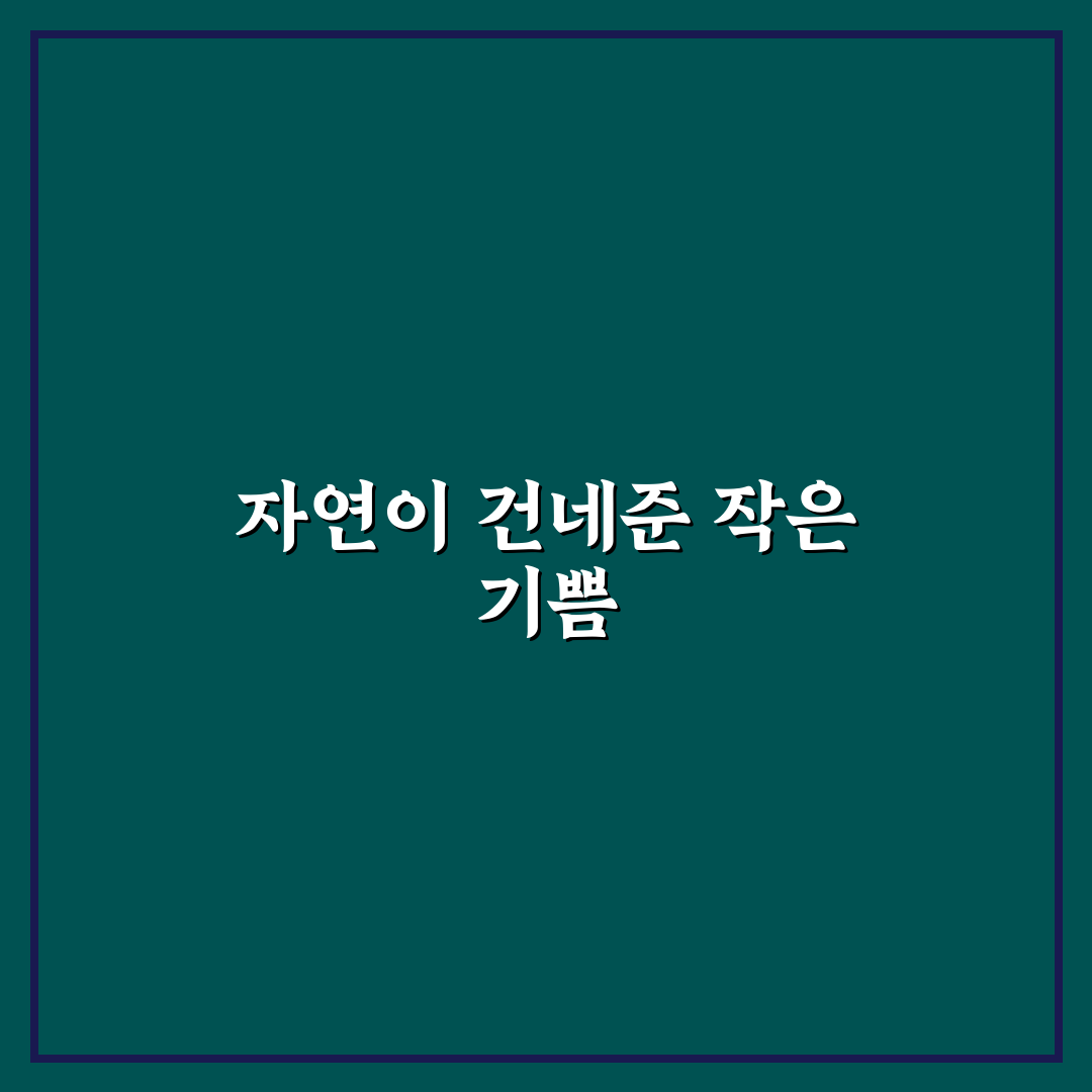 각시붓꽃 포토, 직접 찍어보니 자연스러운 매력 있네요