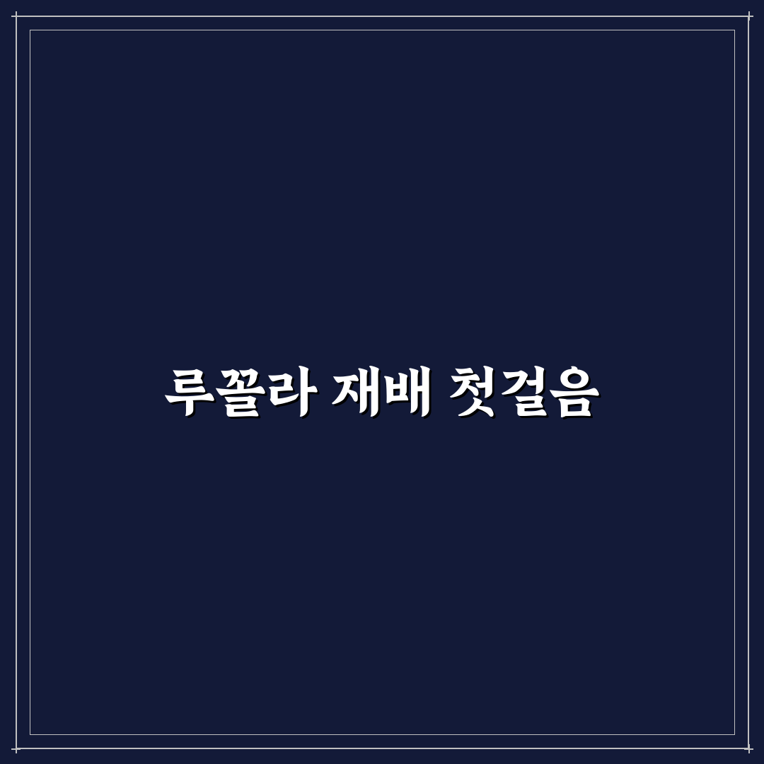 루꼴라 심는시기와 재배 꿀팁 초보자도 쉽게