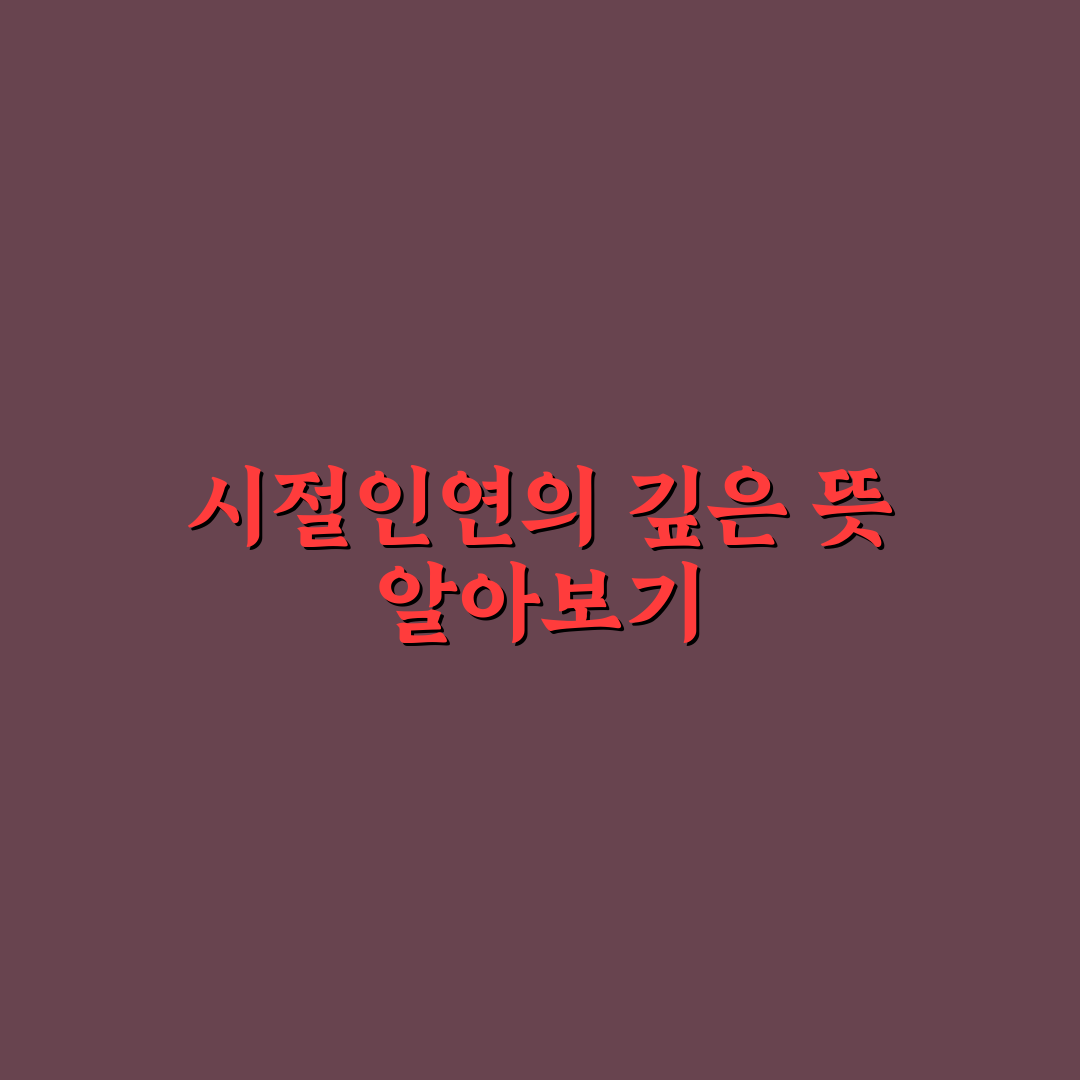 시절인연 가사 쉽게 이해하는 방법과 꿀팁 공유