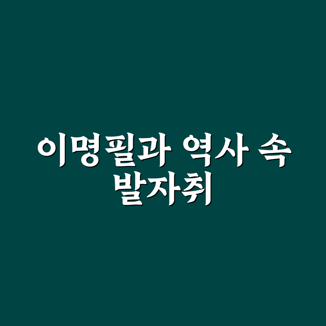 이명필 특징과 활용법 쉽게 알려드려요