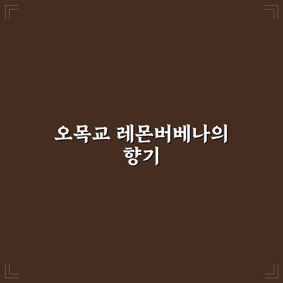 오목교 레몬버베나 재배 팁과 활용법 알려드려요