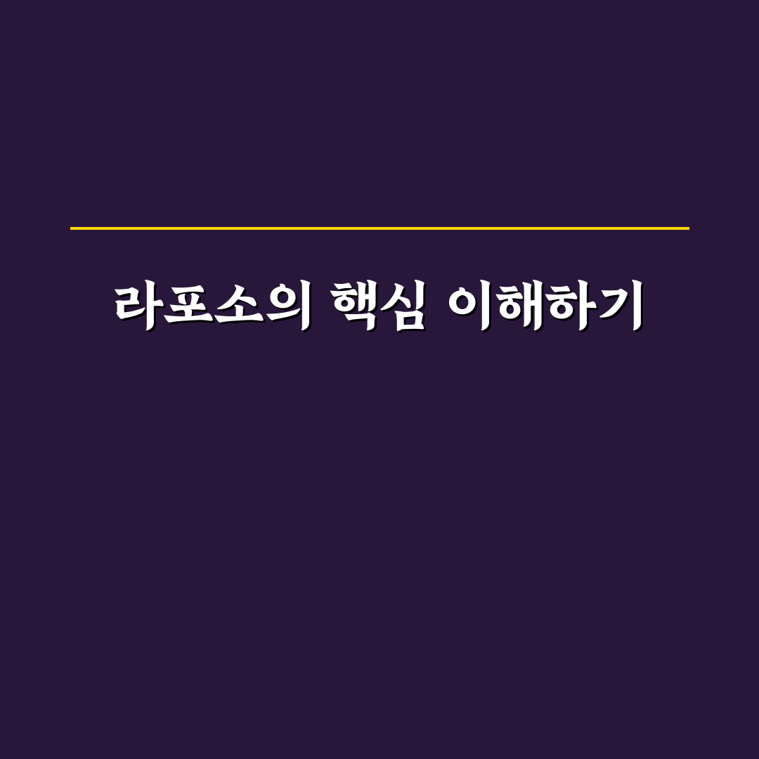라포소 사용법과 효과 쉽게 알려드려요