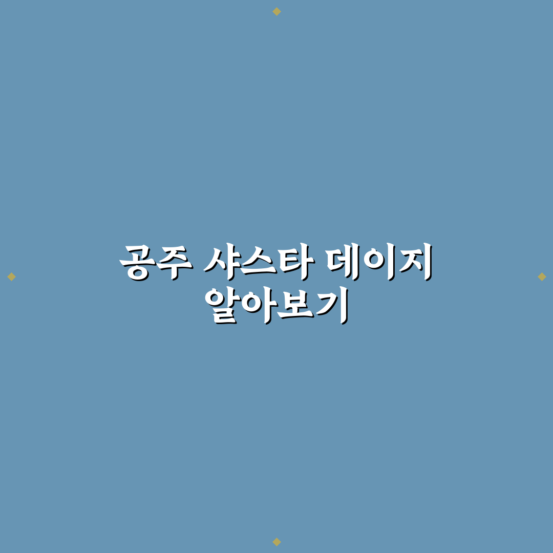 공주 샤스타 데이지 키우기 꿀팁과 관리 방법 공유