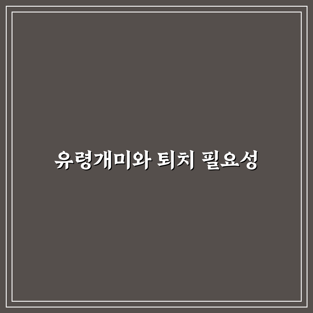 유령개미 퇴치법 추천 초보자도 쉽게 따라하는 팁
