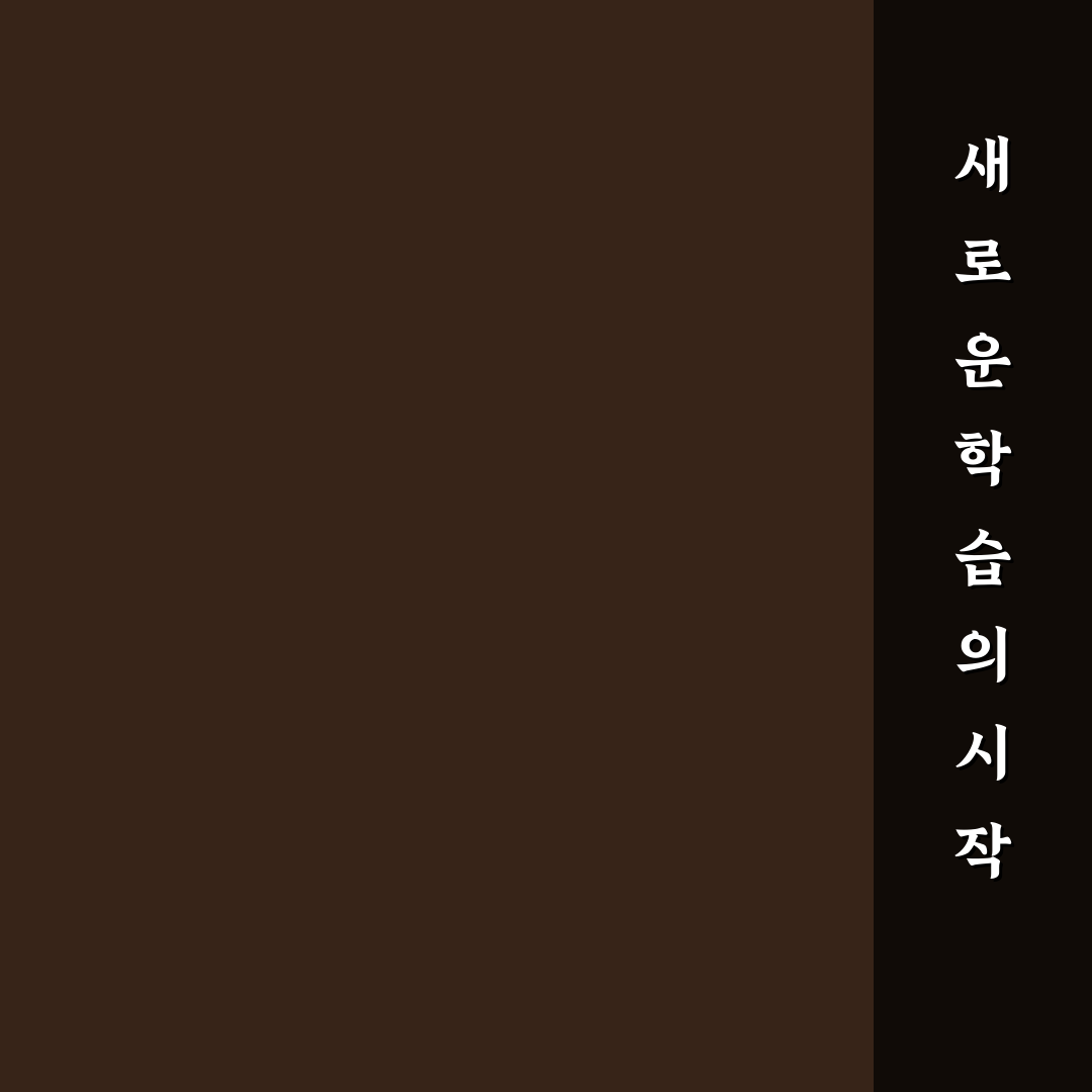 카본 러닝화 내구성 및 특징 직접 써본 솔직후기