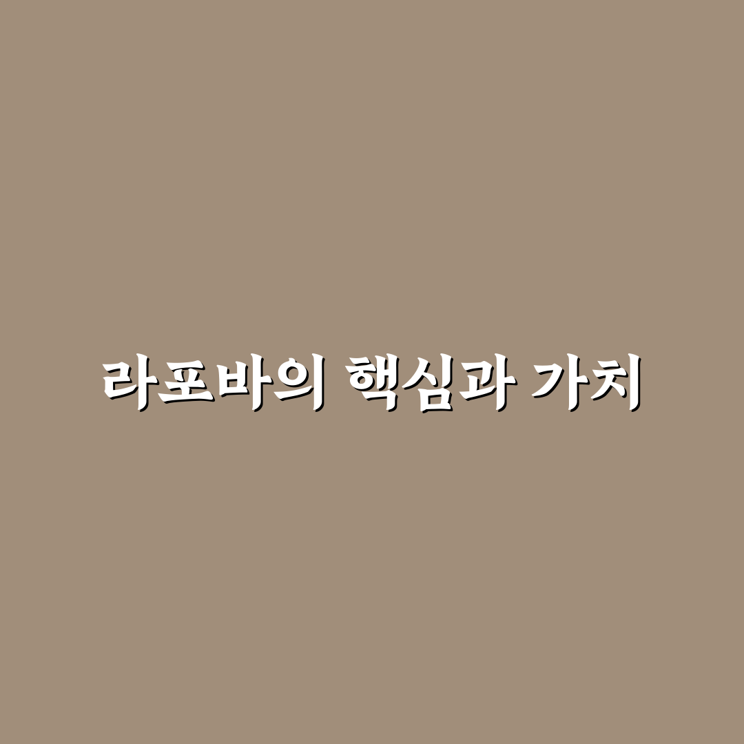 라포바 활용법과 꿀팁 쉽게 알아보기