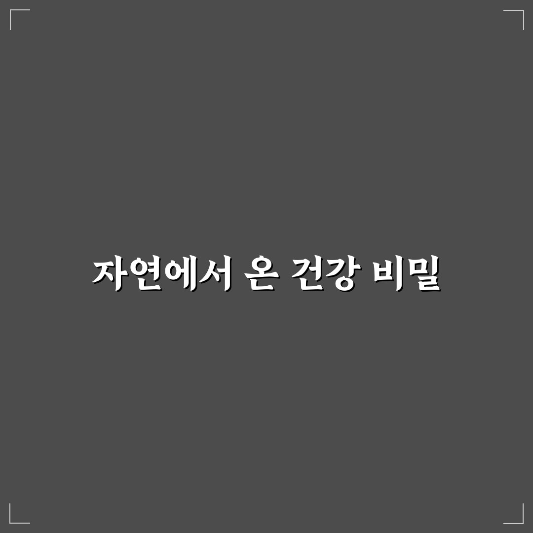 콤비타 프로폴리스 스프레이 사용법과 꿀팁 알려드려요