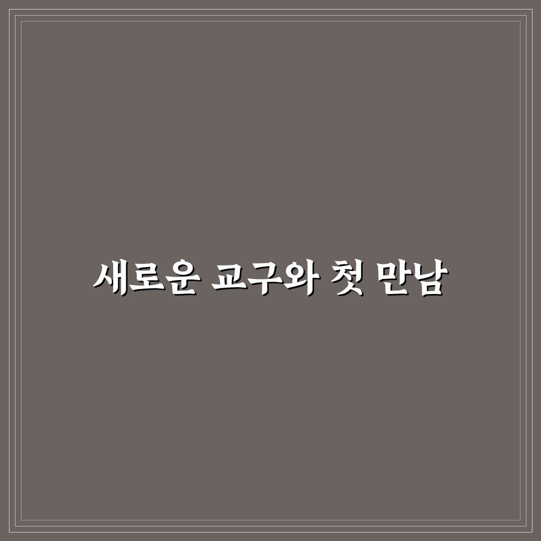 몬테소리 일상 영역 교구 연령별 난이도 직접 써본 후기