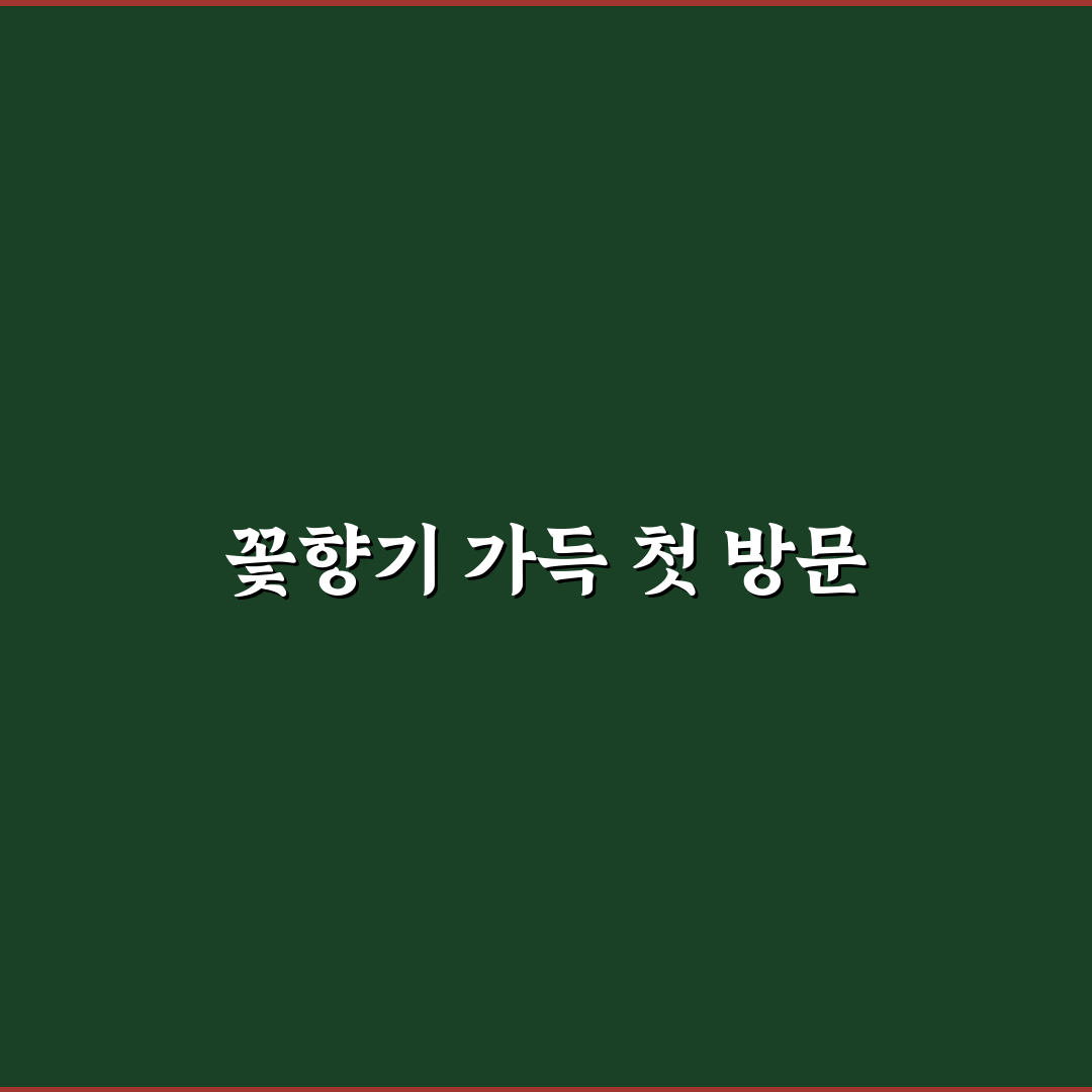 진주 수국축제 위치 방문 후기, 직접 가보니 어땠는지