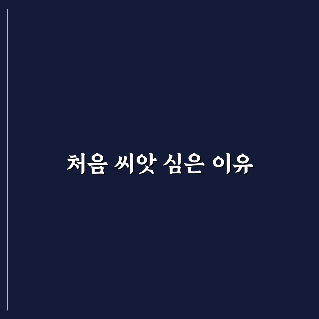 샤스타데이지 씨앗 심는 시기 직접 알아보니