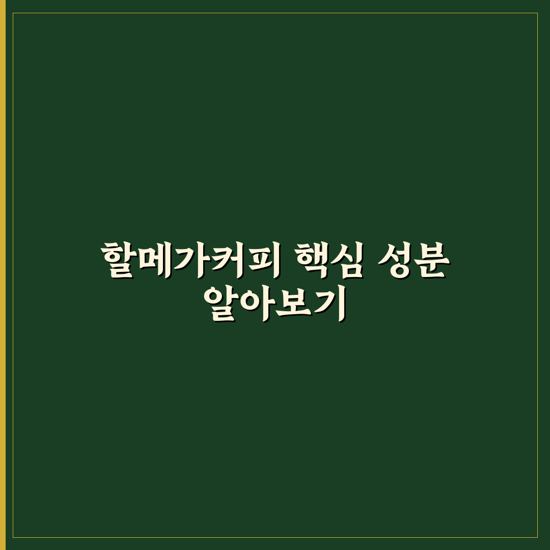 할메가커피 성분 쉽게 이해하는 추천 정보 정리