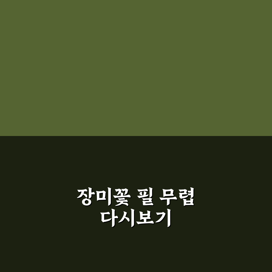 장미꽃 필 무렵 재방송 시간과 편성표 꿀팁 알려드려요