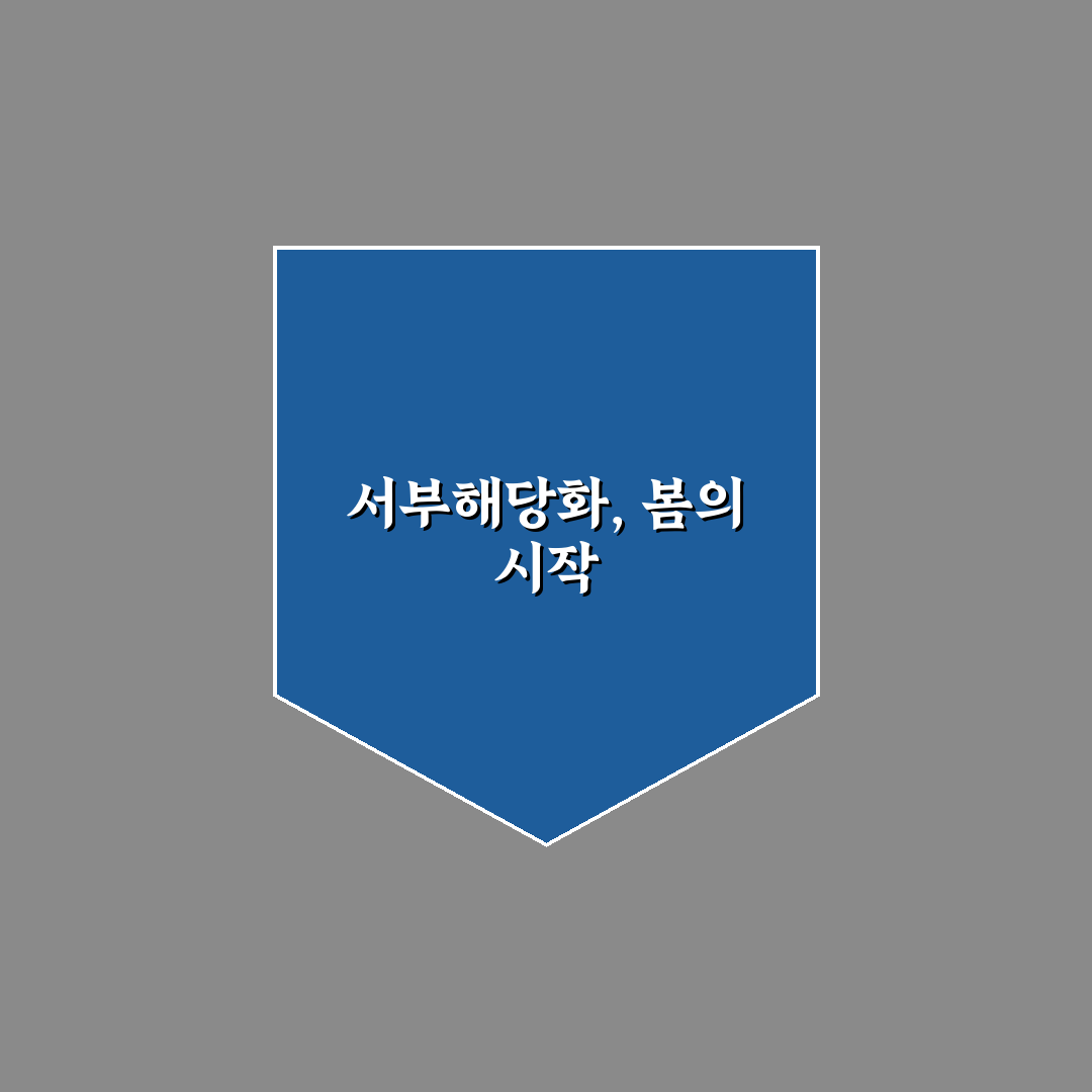 서부해당화 개화시기와 특징 쉽게 알아보는 꿀팁