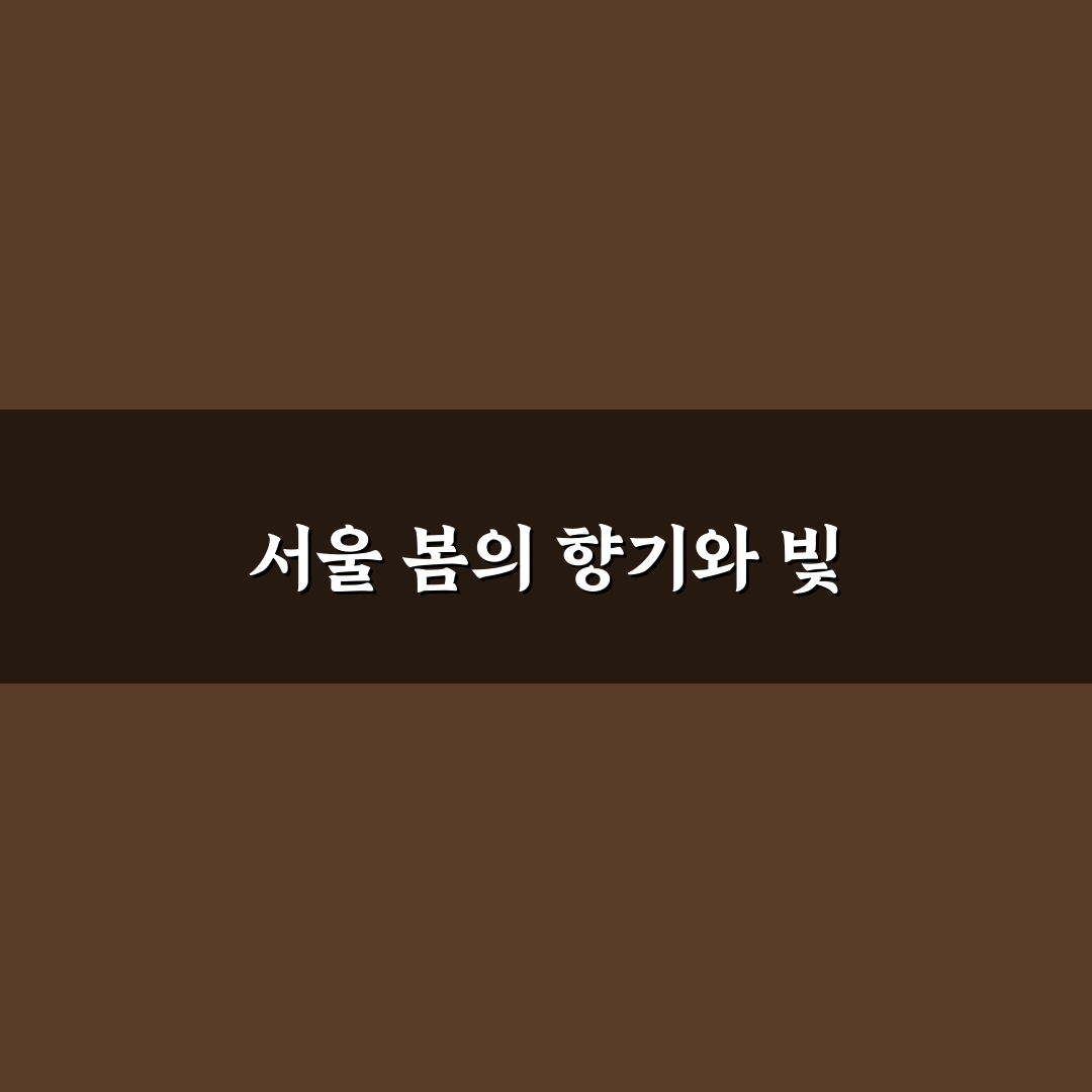서울 등나무꽃 명소 방문 후기, 직접 가보니 풍경은 어땠는지