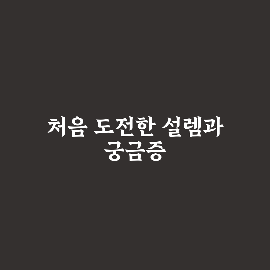 미니멀리즘 인테리어 가구 배치 팁 직접 써본 솔직후기