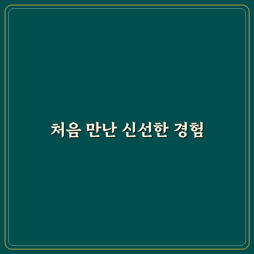 광해 차단 필터 종류별 특징 직접 써본 후기