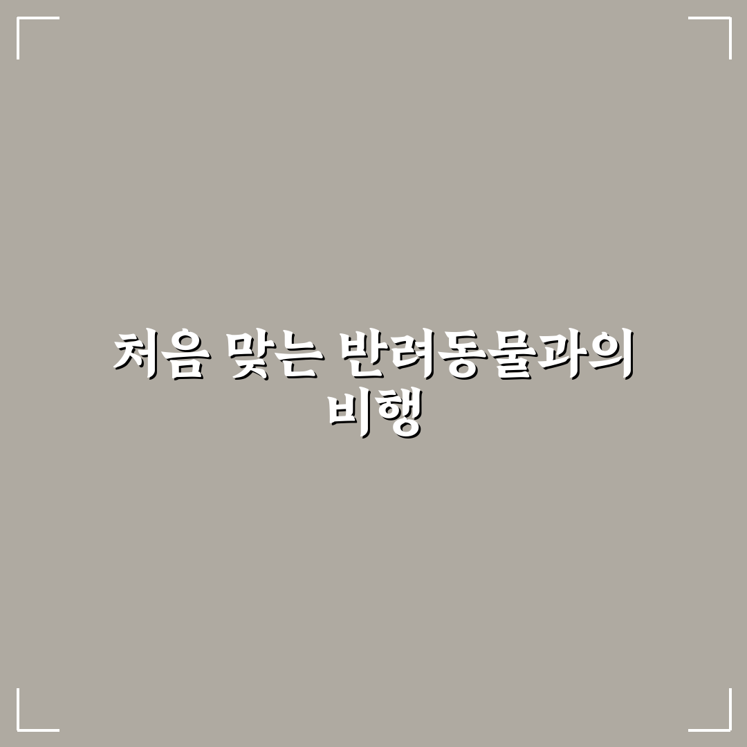 반려동물 동반 비행기 탑승 규정 직접 써본 후기