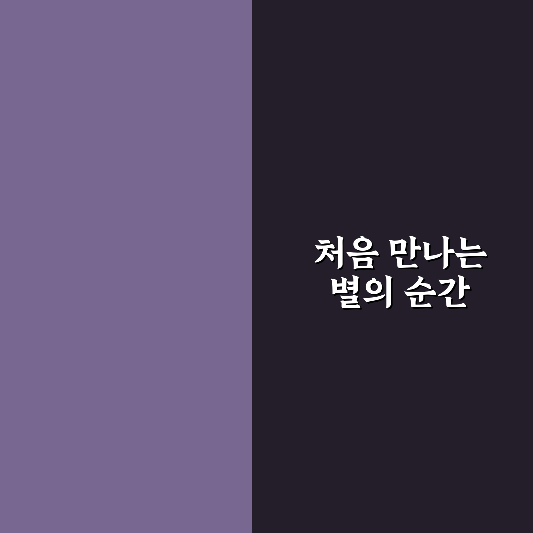 태양 일식 관측 안경 구매처 직접 써본 후기