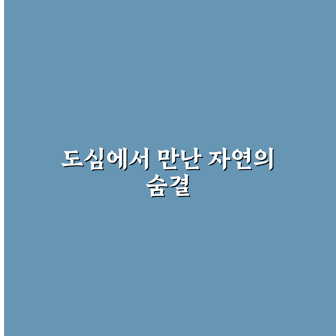 이팝나무 가로수 이유 직접 알아보니 뜻밖의 장점들