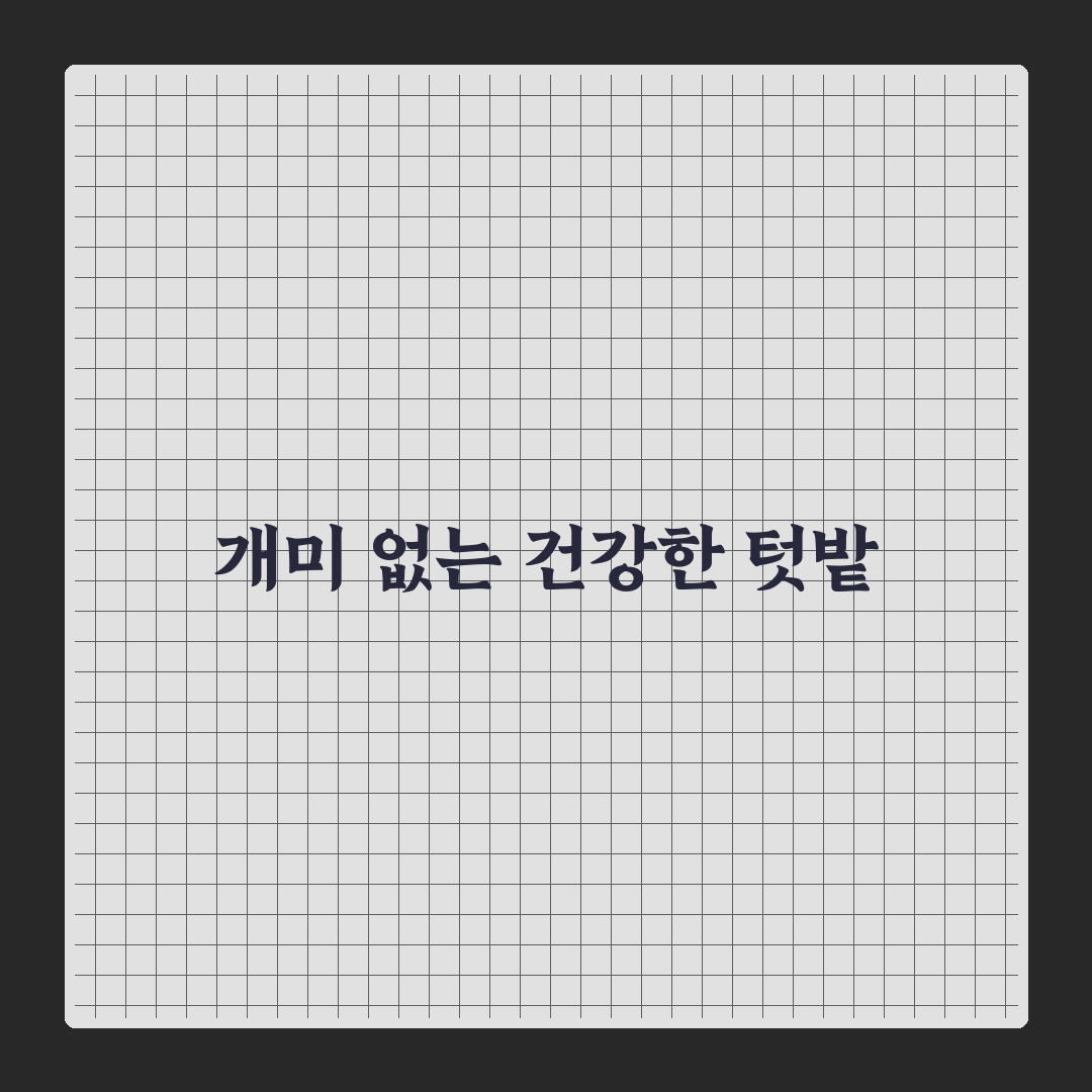 텃밭 개미 퇴치 직접 써보니 효과와 한계점