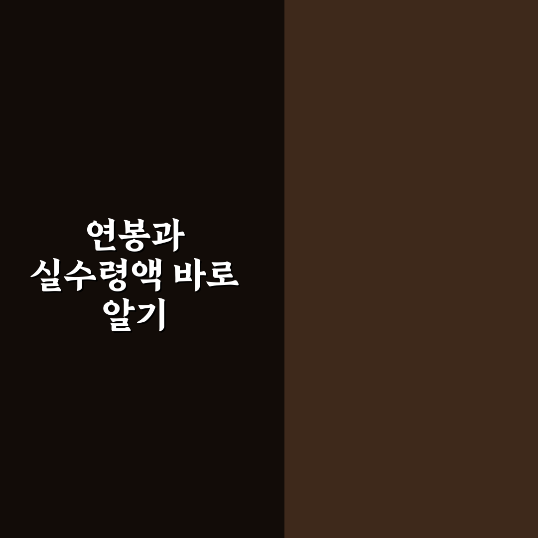 연봉 실수령액 계산기 사용법과 꿀팁 정리