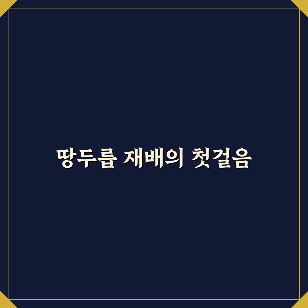 땅두릅 모종재배방법과 꿀팁 쉽게 따라하기