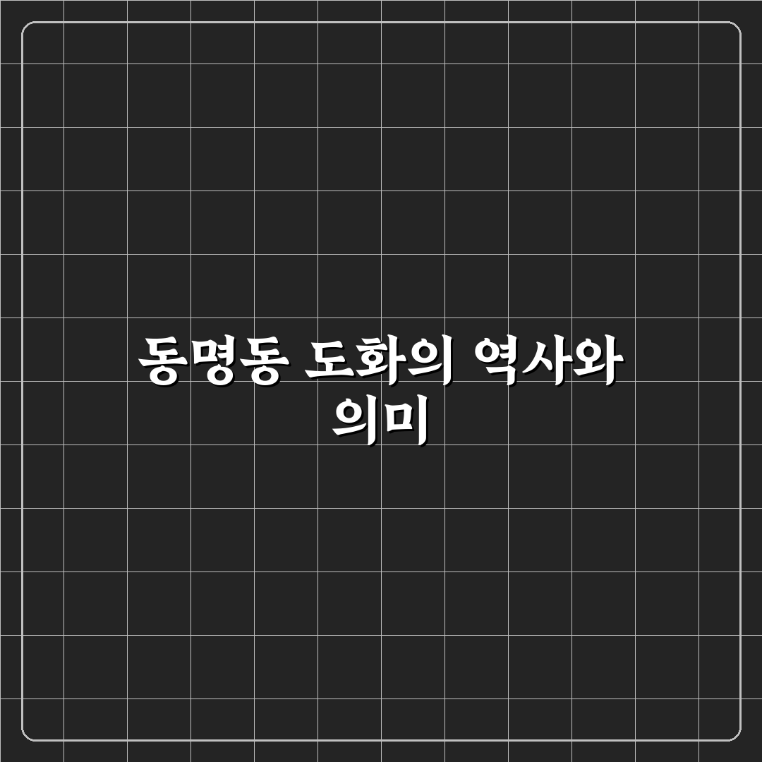 동명동 도화 방문 전 알아두면 좋은 꿀팁 정리