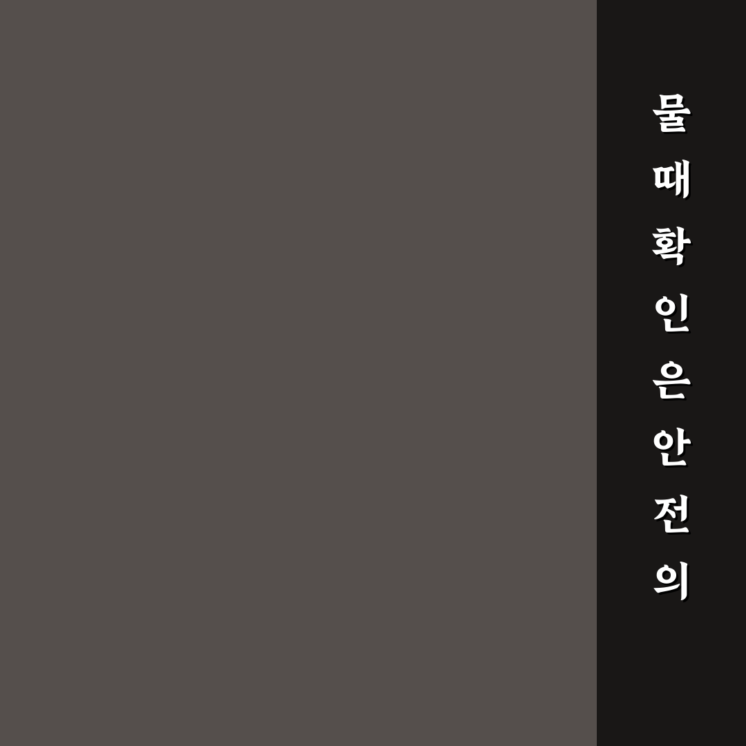 볼음도 물때 정보와 꿀팁 쉽게 정리해드려요