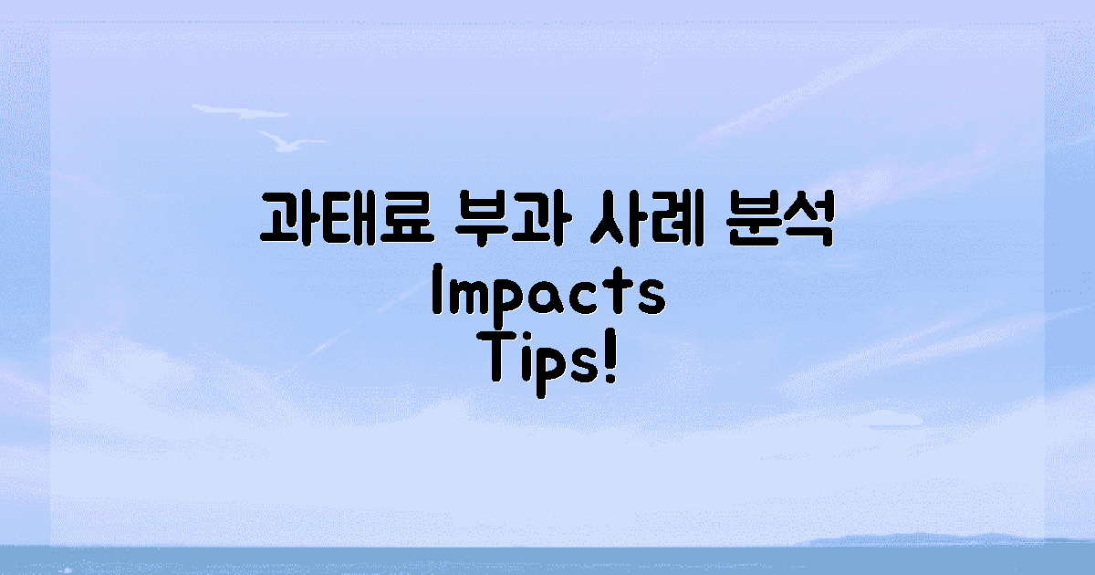 과태료 부과 사례 분석