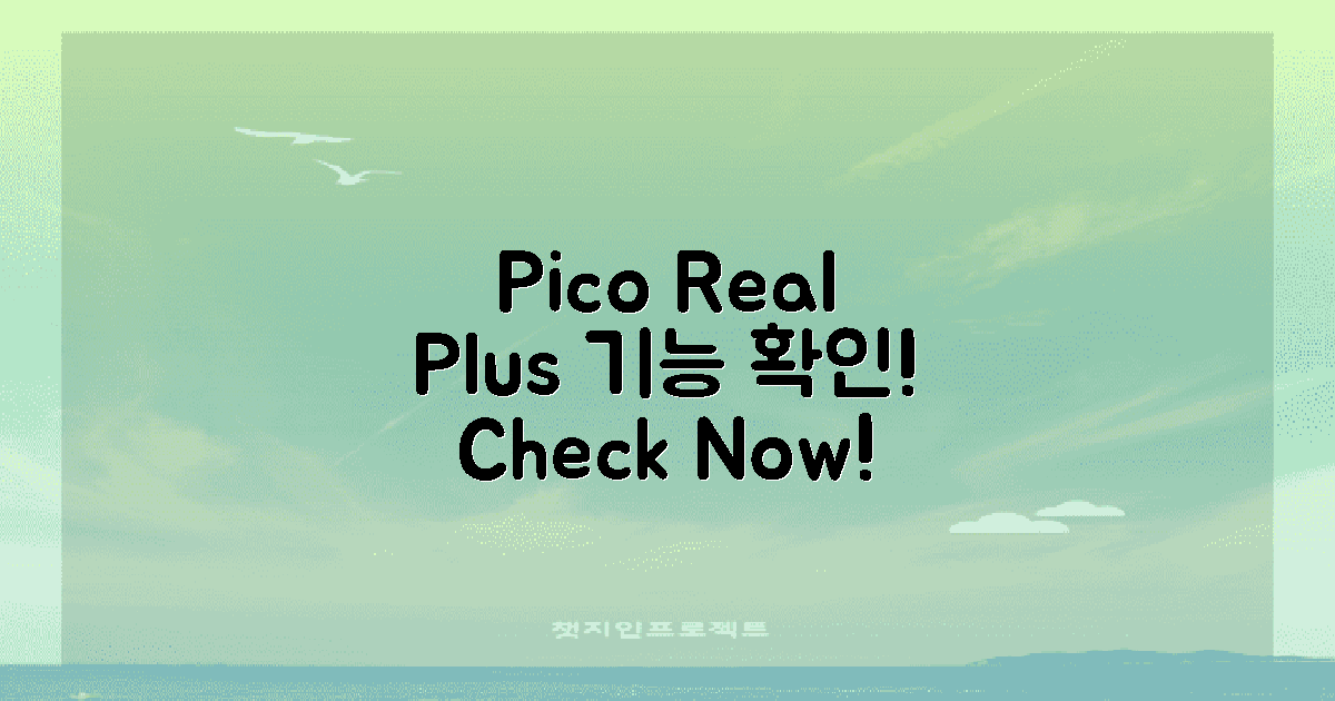 pico real plus 기능 확인하세요