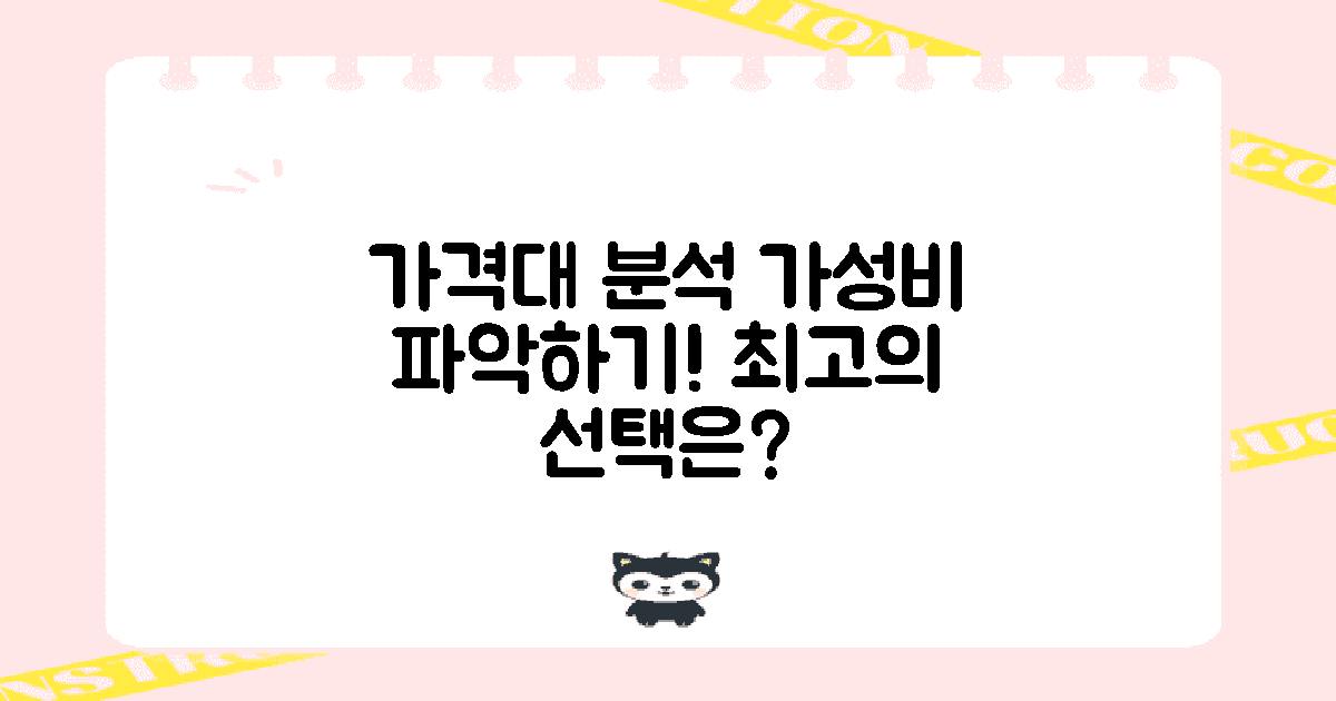 가격대 및 가성비 분석