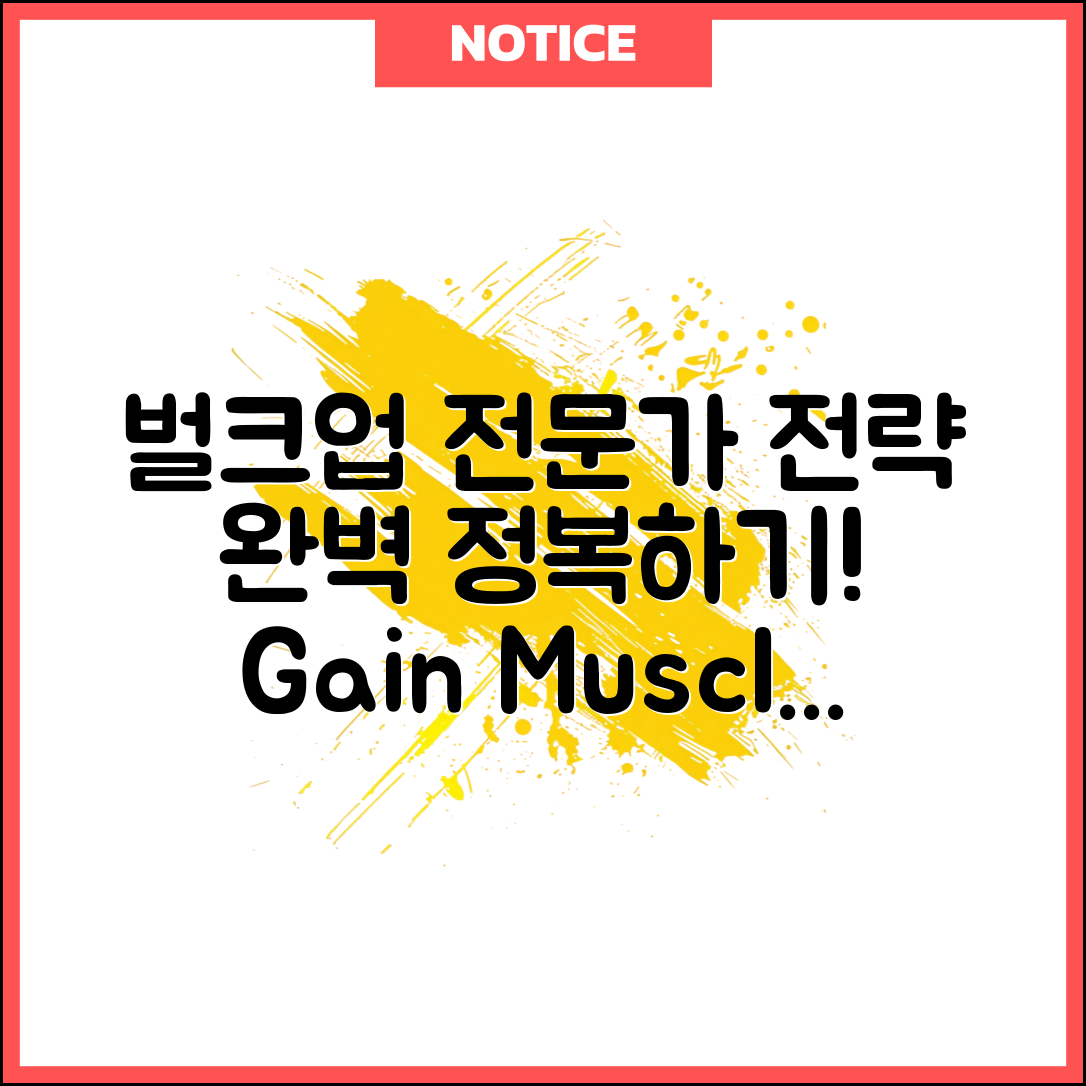 벌크업 기간 전문가 전략: 완벽 정복하기