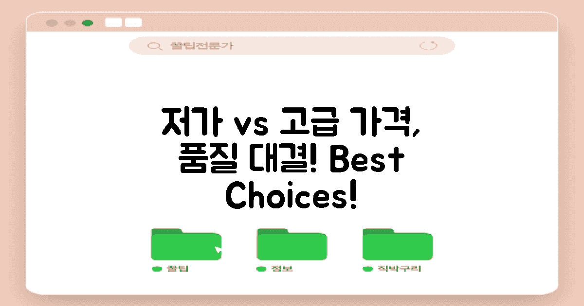 저가 vs 고급 옵션