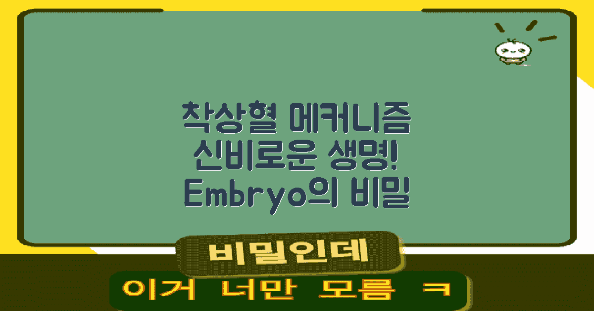 착상혈 발생 메커니즘