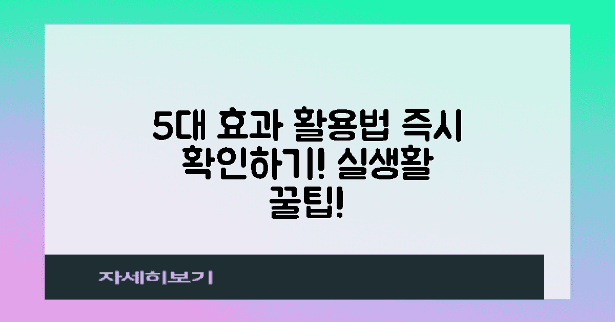 5대 효과 및 활용법
