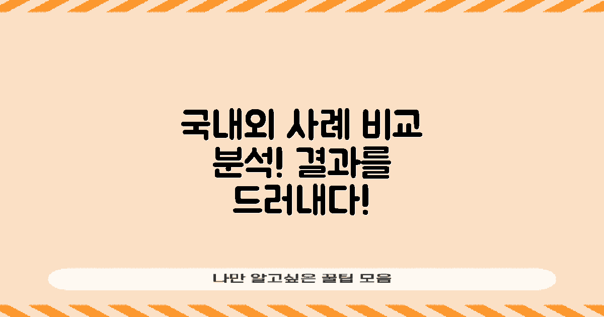 국내외 사례 비교