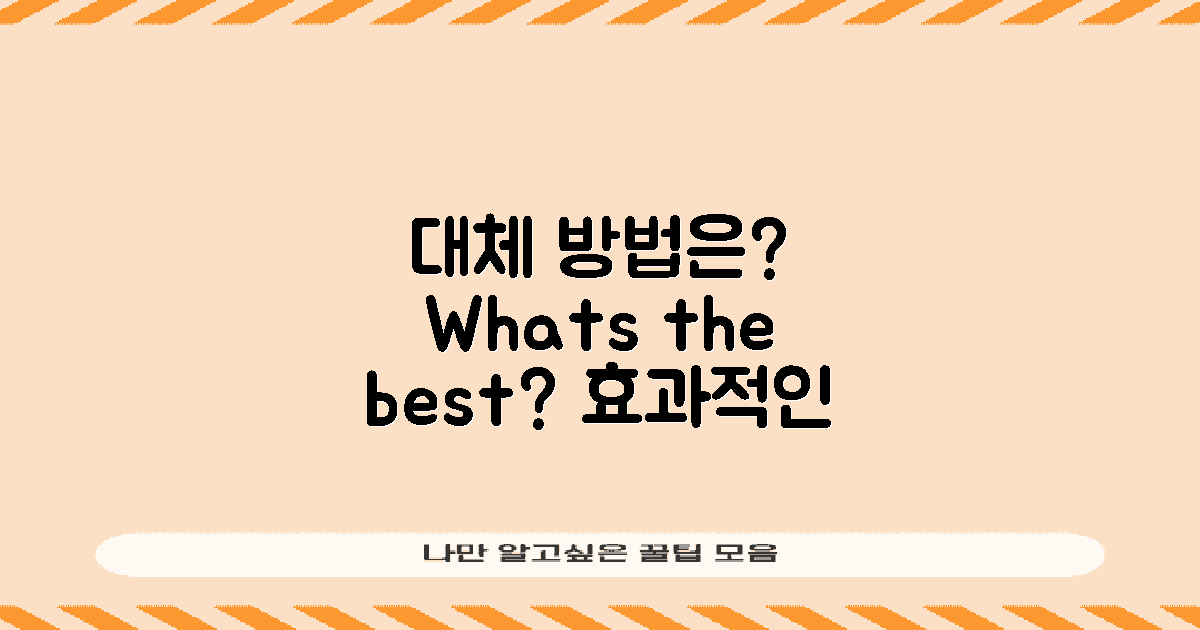 어떤 대체 방법이 있을까?