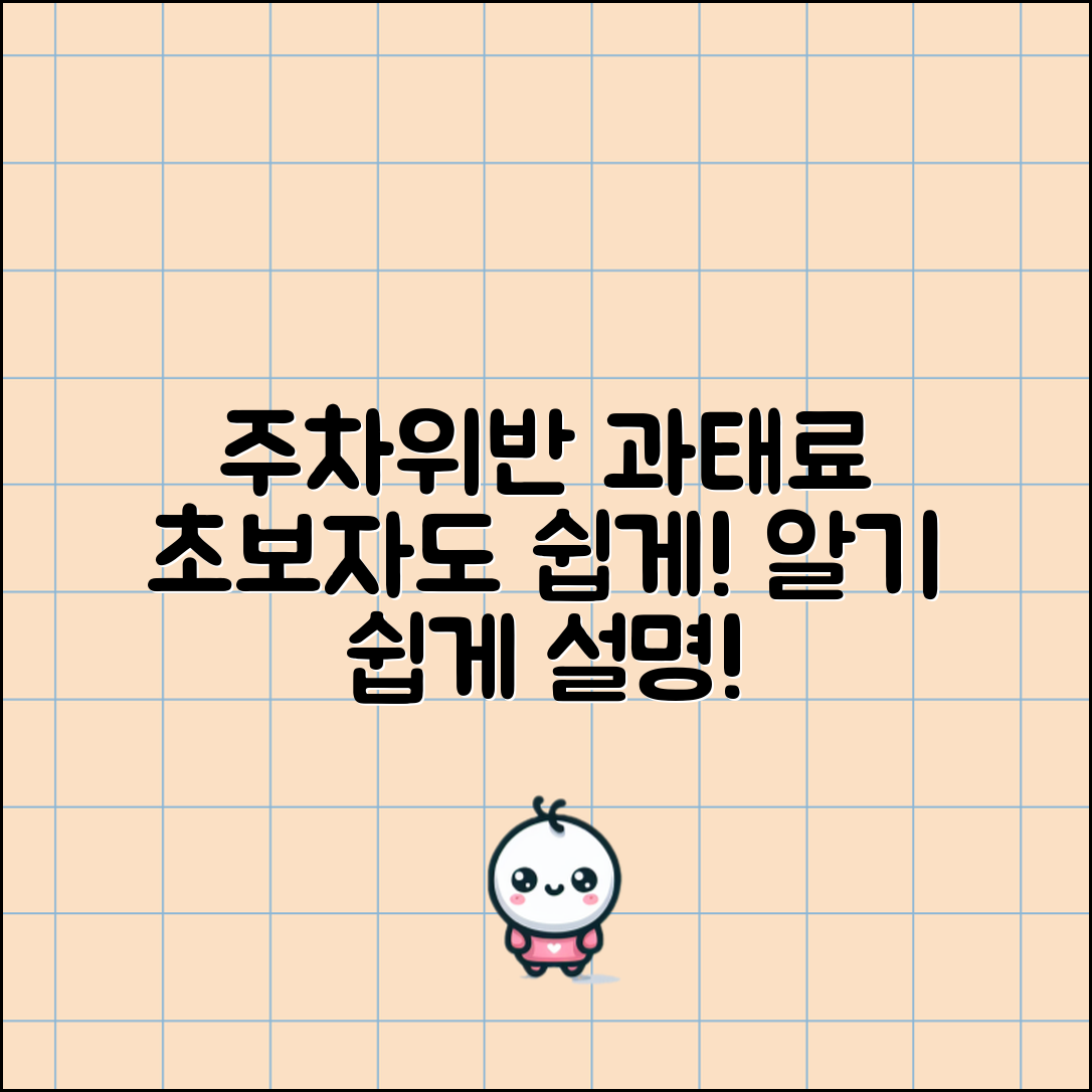 초보자도 쉽게 이해하는 주차위반 과태료 설명