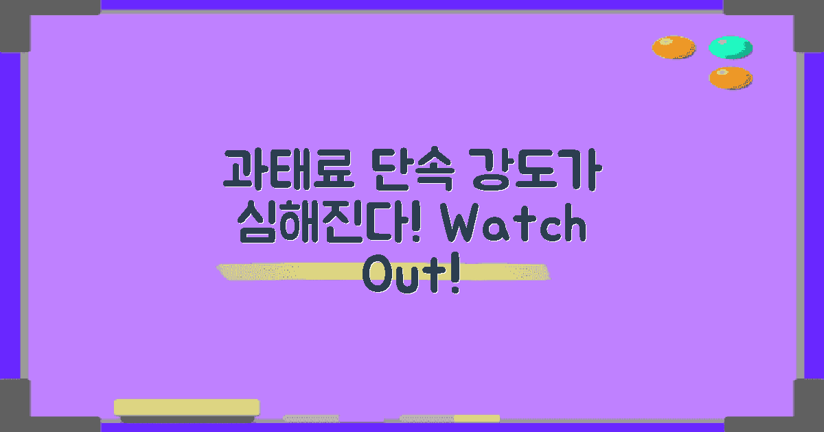 과태료 단속 강도