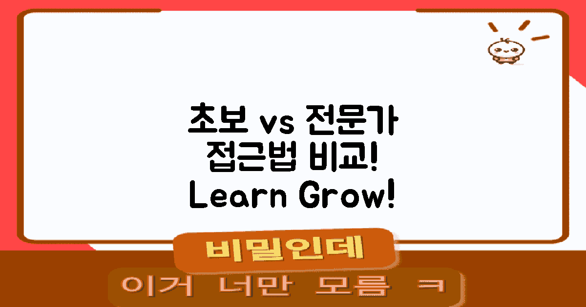 초보자와 전문가 접근법