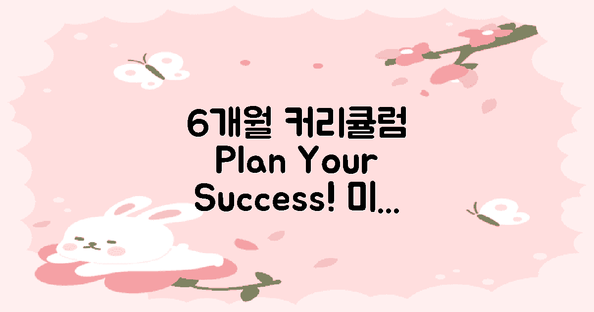 6개월 커리큘럼 계획